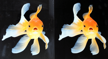 Trulife Acrylic truelife acrylic comparison
