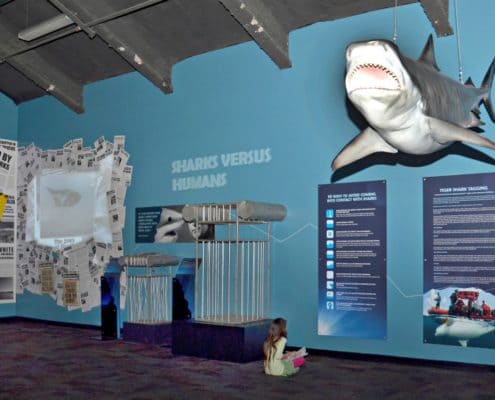 Amazing wall murals and dimensional signs